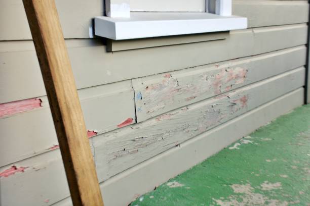 Best Stone Veneer Siding  in White Meadow Lake, NJ